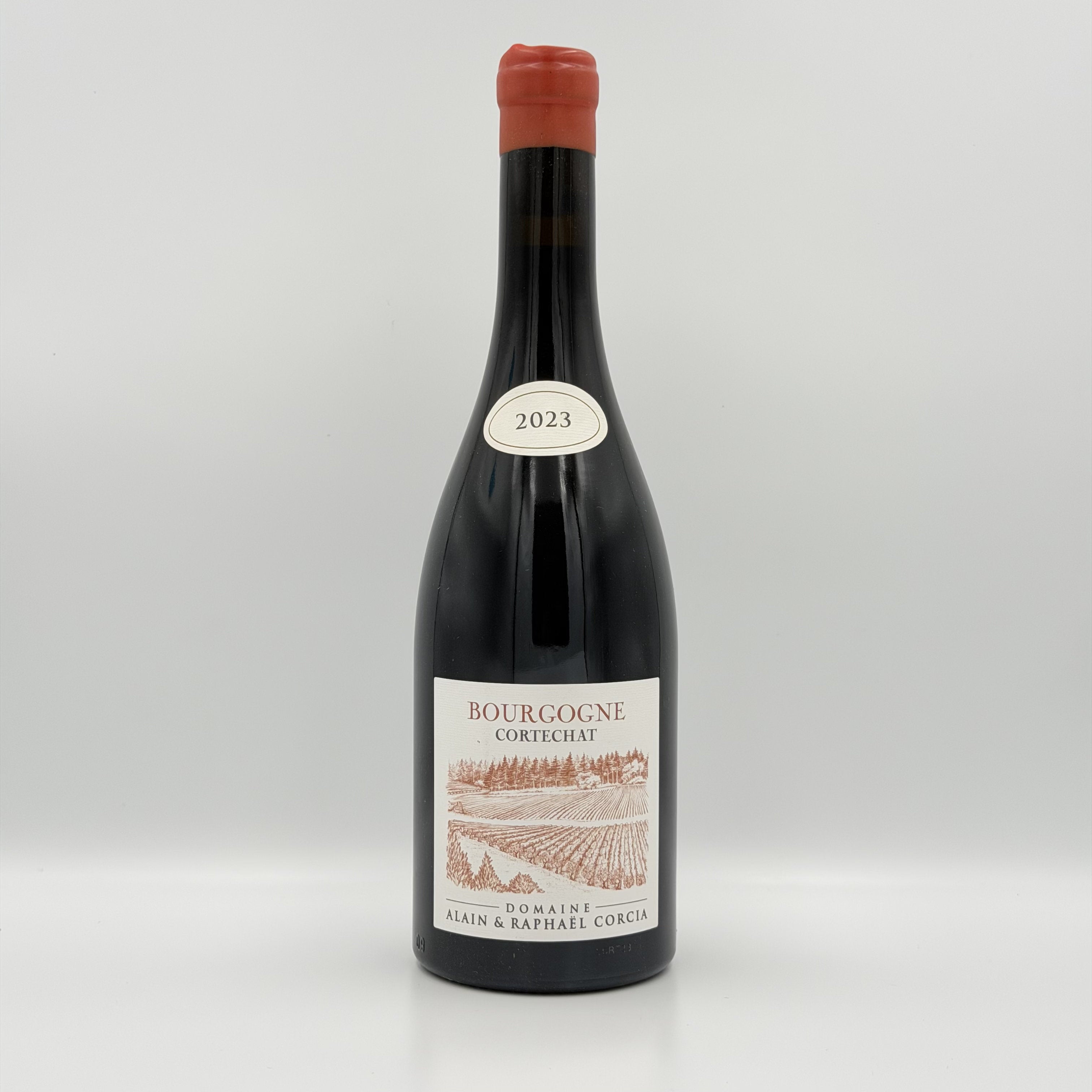 Domaine Alain et Raphael Corcia Cortechat Bourgogne Cortechat 2023